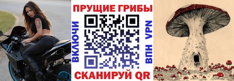 Псилоцибиновые грибы Psilocybe Осинники